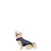 TresPaws Kimmi Quilted Dog Jacket Flint Grey