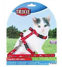 Kitten Harness with Lead Nylon 21–34cm 8mm 1.20m