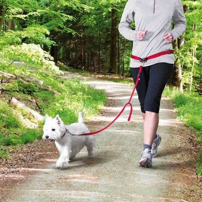 Waist Belt with Leash for Small and Medium-Sized Dogs