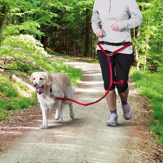Waist Belt with Leash for Medium-Sized and Large Dogs