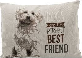 Chipo Cushion Maltese 60x48cm Grey
