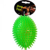 Dog & Co Oval Spiky Ball With Speaker