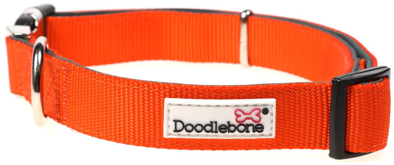 Doodlebone Originals Padded Collar
