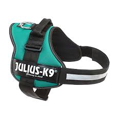 Julius K9 Power Harness