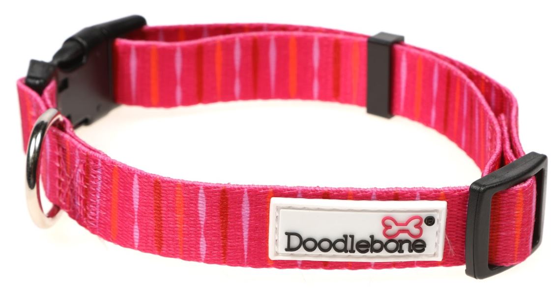 Doodlebone Originals Pattern Collar