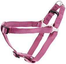 Premium One Touch Harness