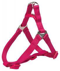 Premium One Touch Harness