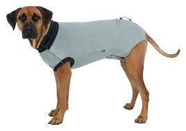 Protective Body M-L: 50 Cm, Grey