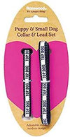 Nylon Puppy Collar & Lead Set Top Dog