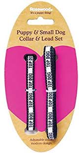 Nylon Puppy Collar & Lead Set Top Dog