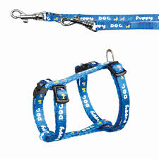 Puppy Harness with Leash 23-34cm Blue