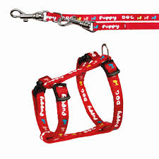 Puppy Harness with Leash 23-34cm Red