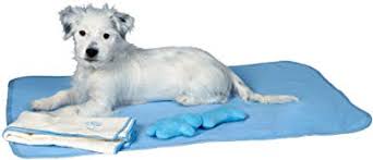 Puppy Kit Light Blue
