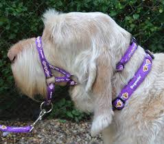 Padded Dogmatic Headcollar Size 5 Purple