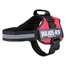 Julius K9 Power Harness