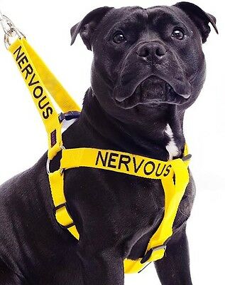 Nervous Strap Harness