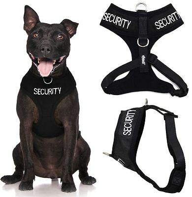 Security Vest Harness