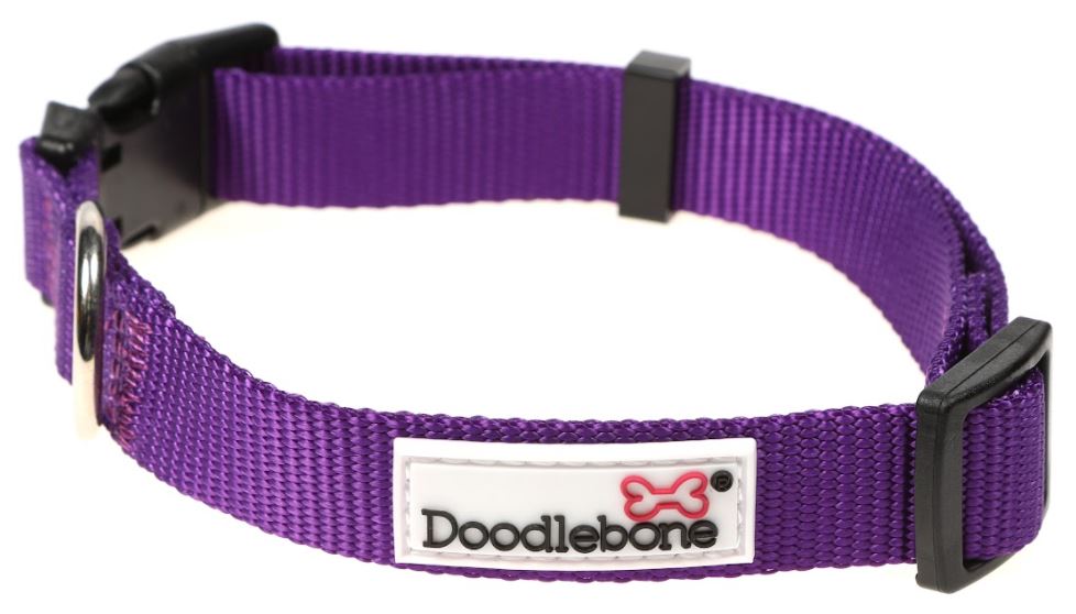 Doodlebone Originals Collar
