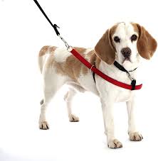 Company of Animals Walkezee Harness X-Small